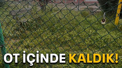 Ot içinde kaldık!